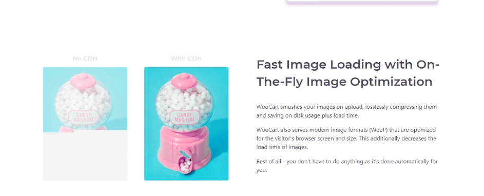Incredible Performance for WooCommerce