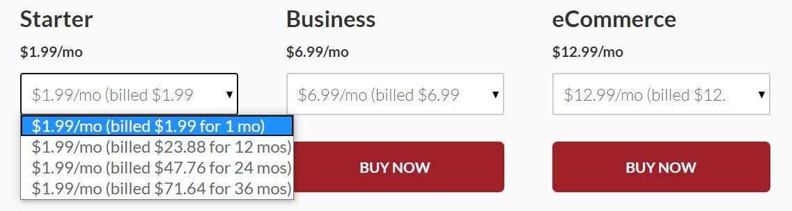 netfirms site builder prices