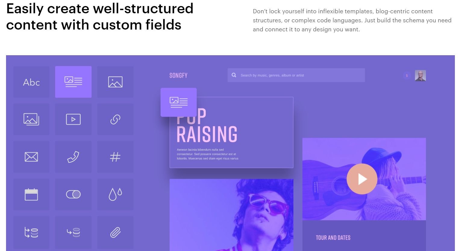 Webflow v WordPress-webflow-features-cms-fields
