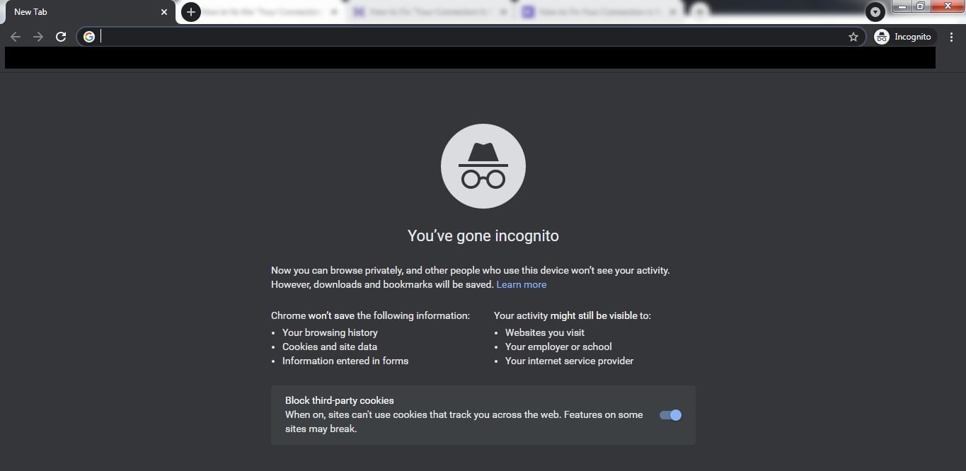 opened incognito mode: your Connection is Not Private