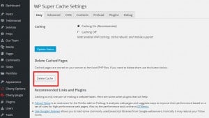 WP-super cache