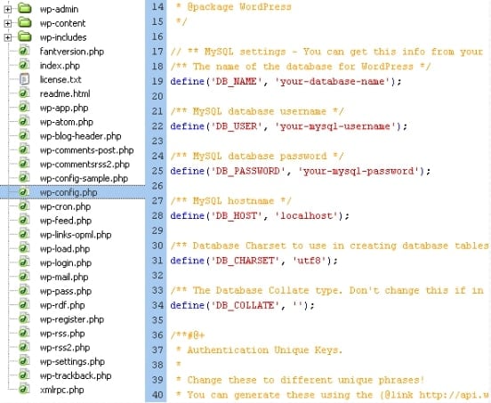 WordPress HTTP error wp config