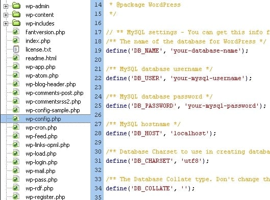 wp config