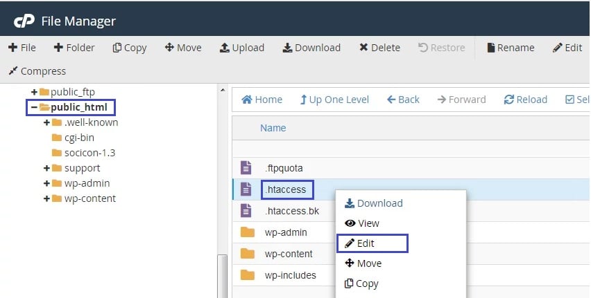 cPanel