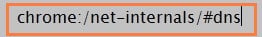 Chrome/net