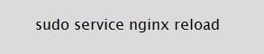Nginx command