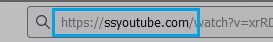 Download YouTube Videos on Mac