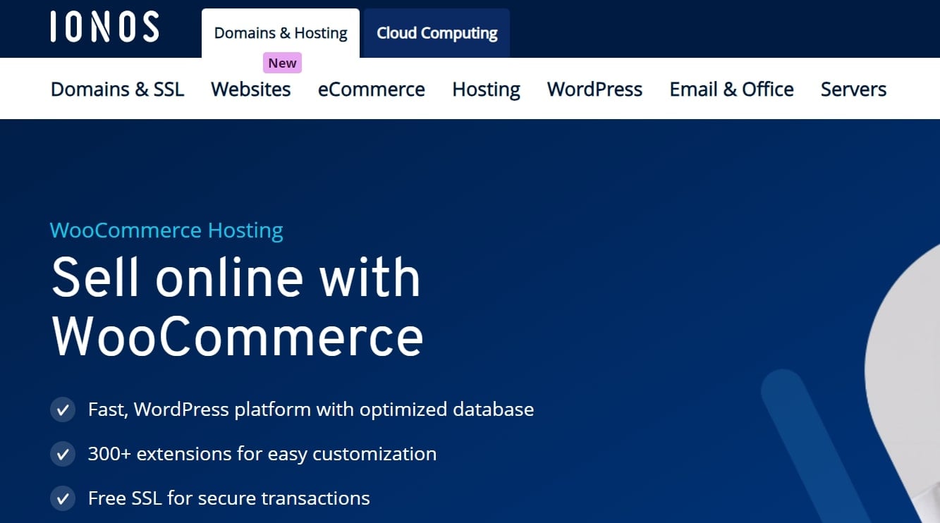 IONOS Hosting